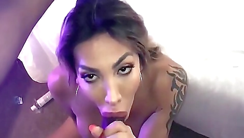 Brunette with tattoo on her pussy fucks black cock